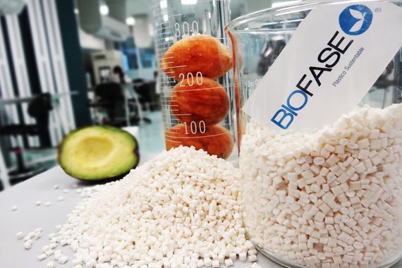 Biofase: las semillas de aguacate convertidas en plástico