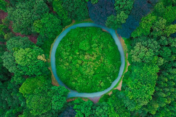 Une rivière qui a la forme d'un cercle, entourée d'arbres