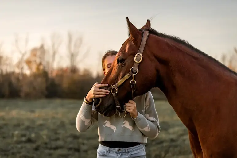 Une collation à partager avec son cheval - Les Affaires