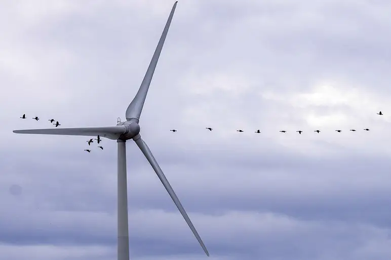 Un parc éolien bloqué par Trump entre en fonction