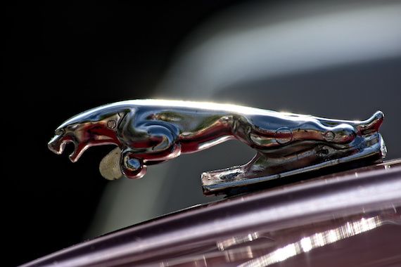 Une voiture de marque Jaguar