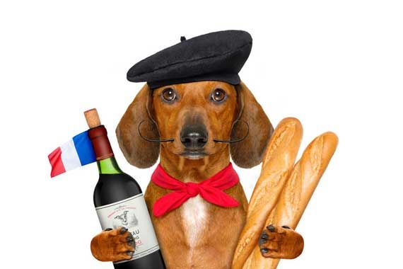 Un chien qui porte un béret, en tenant deux baguettes et une bouteille de vin.