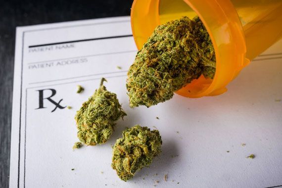 Du cannabis médical